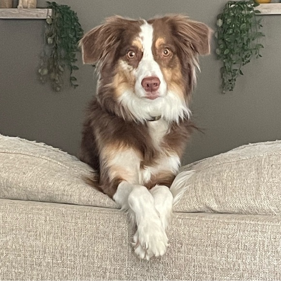 Meet your Posher, Nick - Picture 1 of 1